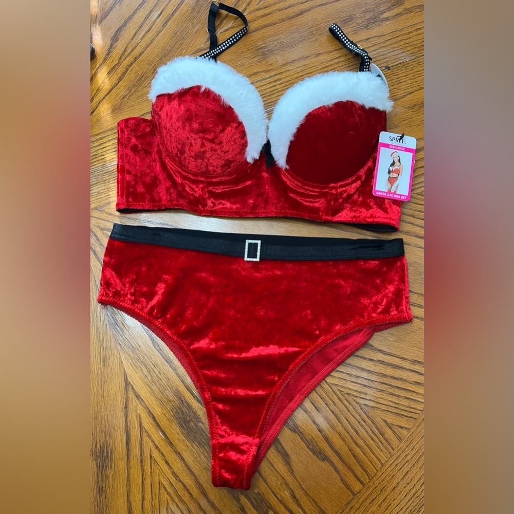CHRISTMAS Spree 2 piece Santa bra set. NWT. Bra size 36 B. Panties size L.